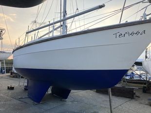 Colvic Countess 28