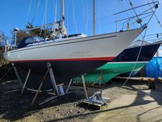 1981 Rustler 31