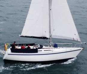 D819cc18 1ea0 45d8 b513 e60474e8467e