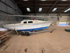 Jaguar 21