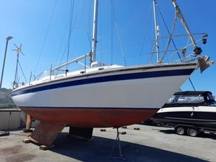 1981 Westerly Discus