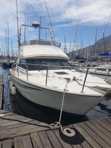 30ft Ace Craft Sportsfisher FURTHER REDUCTION