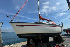 1981 dufour 2800 sail 9449842 20240717083330248 1 XLARGE