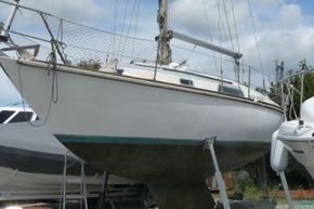Hustler 30 sailing yacht - with copper coated hull
