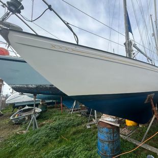 1969 Twister 28