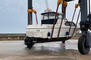 9168890 20231218100649959 1 XLARGE