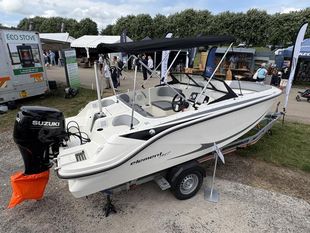 2022 Bayliner M17