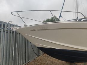 Triana Tropica 25  - Bow