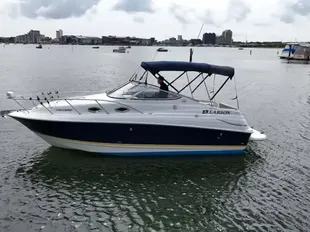 2006 Larson 240 Cabrio