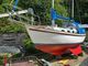 1967 Seadog 30 Ketch