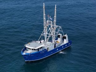 For Sale Newbuild Fishing trawler