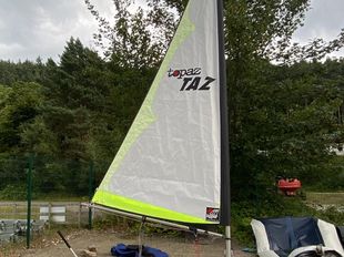 Topper Topaz Taz in excellent condition