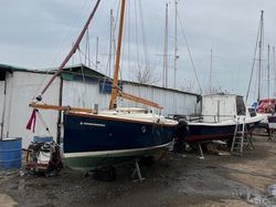 Shrimper 19