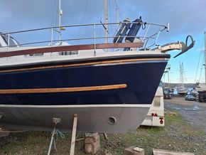 Nelson 40 Pilot 
