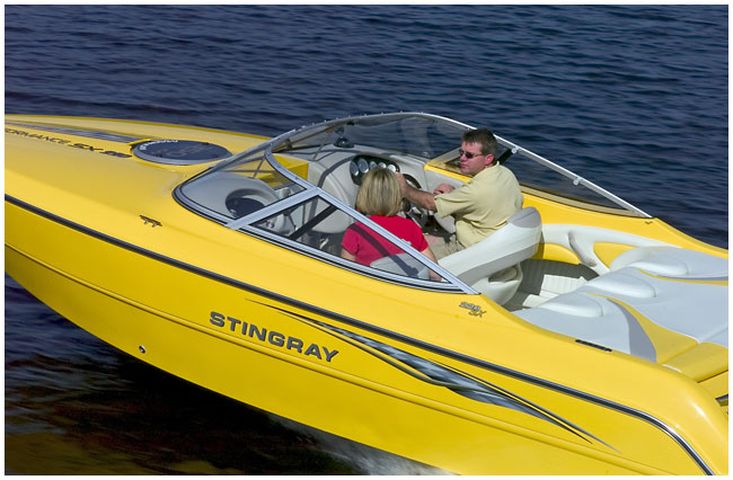 Stingray Cuddy/Cruiser 220 SX