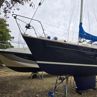 Cobra 850 Ready to sailway!