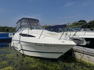 Bayliner