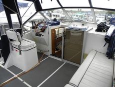 Haines 335