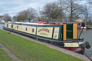 Kingfisher - 1/12th (4 week) Yellow Share