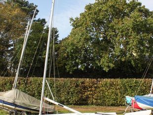 Topper Topaz Vibe with almost new mainsail and Road Trailer