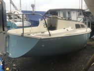 Hunter delta 25