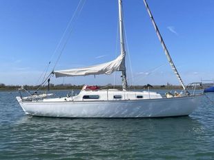 Contessa 26 