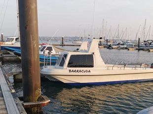 20ft Wilson Flyer Pilot 590 with trailer
