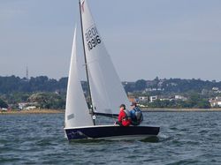 Wayfarer Racer 10916