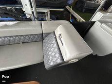 2022 Massimo Marine P23