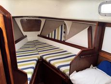 Classic Van de Stadt Harmony 31