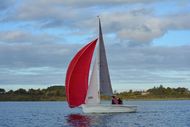 Laser Bahia (#511)