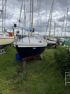 Macwester Rowan Crown 24 - Reduced