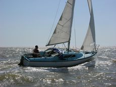Seal 22 sailing yacht