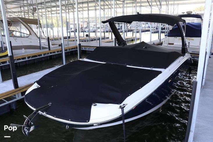 2024 Sea Ray 290 sdx