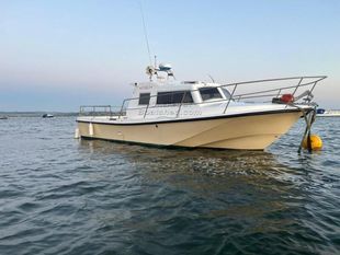 2006 Procharter P3 Outdrive