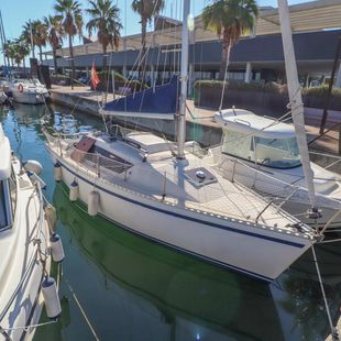 GibSea 242