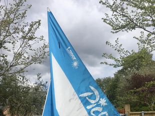 WANTED LASER PICOS - SINGLES OR FLEETS