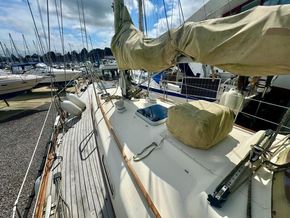 1991 rival 36 sail 9427386 20240722072924925 1 XLARGE