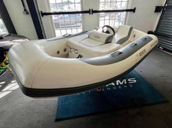 2018 Williams Minijet 280