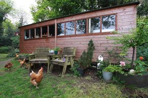 optional shed and resident chickens