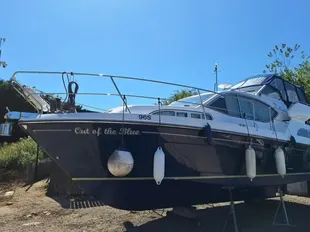 Haines 320