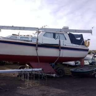 Westerly Konsort duo
