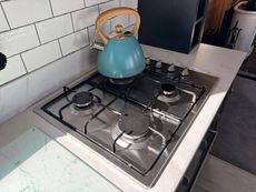 Collingwood 60ft Wide Beam