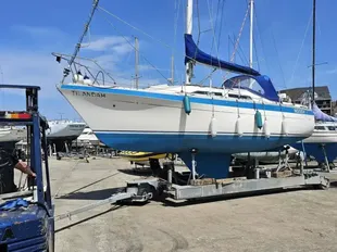 1981 Marine Projects 29
