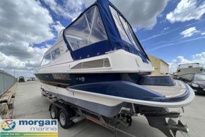 Bella-Falcon-2024-canopy