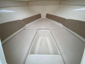 9339407 20240413050300320 1 XLARGE