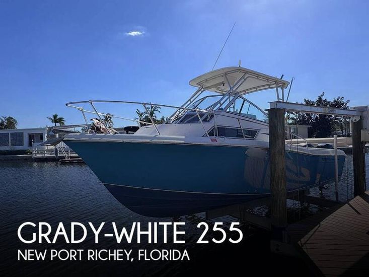 1993 Grady-white 255 sailfish