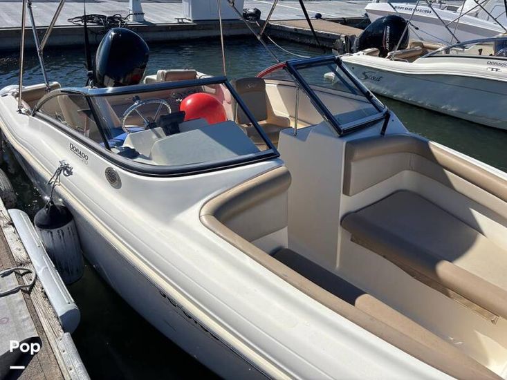 2023 Scout 210 dorado