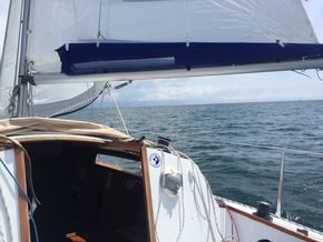 Cardigan Bay