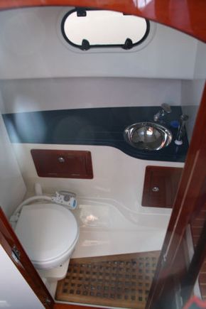 toilet with shower